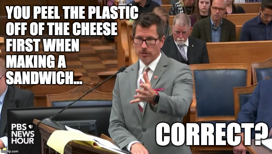 Thomas Binger trial question | YOU PEEL THE PLASTIC 
OFF OF THE CHEESE 
FIRST WHEN
MAKING A 
SANDWICH... CORRECT? | image tagged in thomas binger trial question | made w/ Imgflip meme maker
