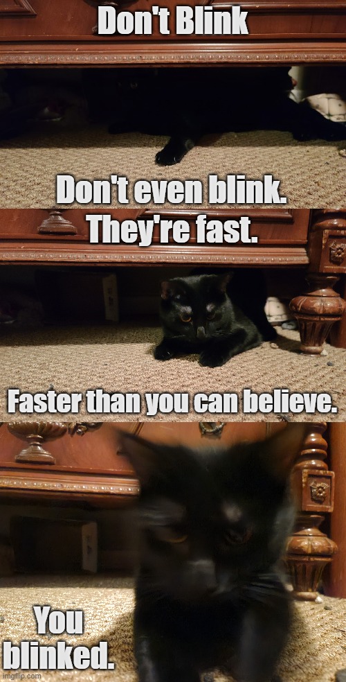 Weeping Angel Void | Don't Blink; Don't even blink. They're fast. Faster than you can believe. You blinked. | image tagged in don't blink,weeping angel,doctor who | made w/ Imgflip meme maker