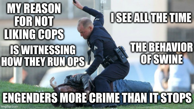 Police tasked with keeping the peace out disturbing it instead as usual | MY REASON FOR NOT LIKING COPS; I SEE ALL THE TIME; THE BEHAVIOR OF SWINE; IS WITNESSING HOW THEY RUN OPS; ENGENDERS MORE CRIME THAN IT STOPS | image tagged in cop beating | made w/ Imgflip meme maker