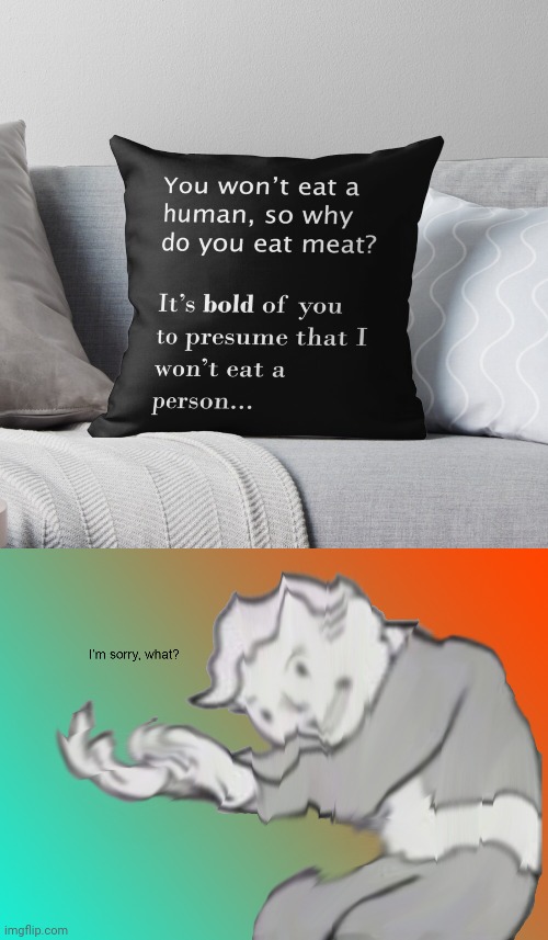 Human | image tagged in i'm sorry what,dark humor,pillow,human,meat,memes | made w/ Imgflip meme maker