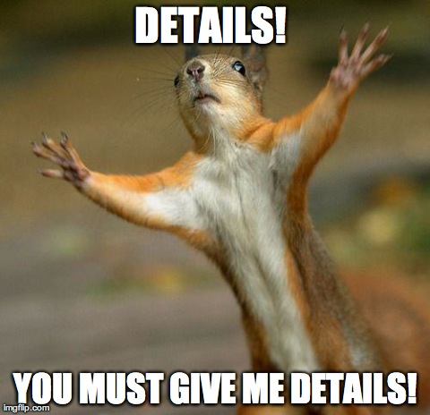 Off Topic Squirrel | DETAILS!  YOU MUST GIVE ME DETAILS! | image tagged in off topic squirrel | made w/ Imgflip meme maker