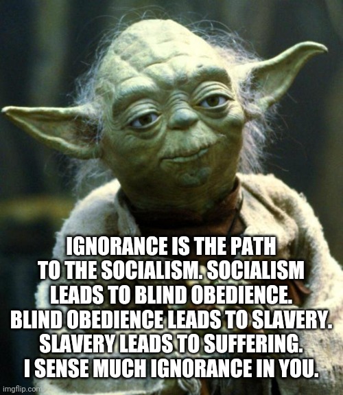Star Wars Yoda | IGNORANCE IS THE PATH TO THE SOCIALISM. SOCIALISM LEADS TO BLIND OBEDIENCE. BLIND OBEDIENCE LEADS TO SLAVERY. SLAVERY LEADS TO SUFFERING. I SENSE MUCH IGNORANCE IN YOU. | image tagged in memes,star wars yoda | made w/ Imgflip meme maker