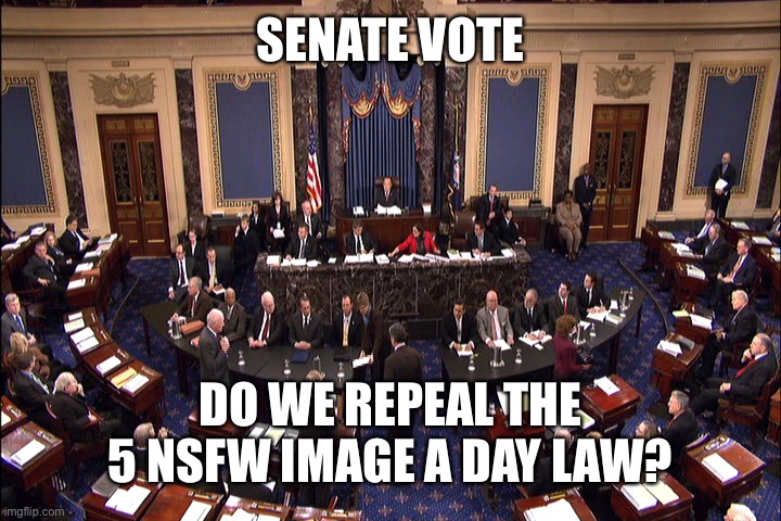 Reasoning in the comments, as usual | SENATE VOTE; DO WE REPEAL THE 5 NSFW IMAGE A DAY LAW? | image tagged in senate floor | made w/ Imgflip meme maker