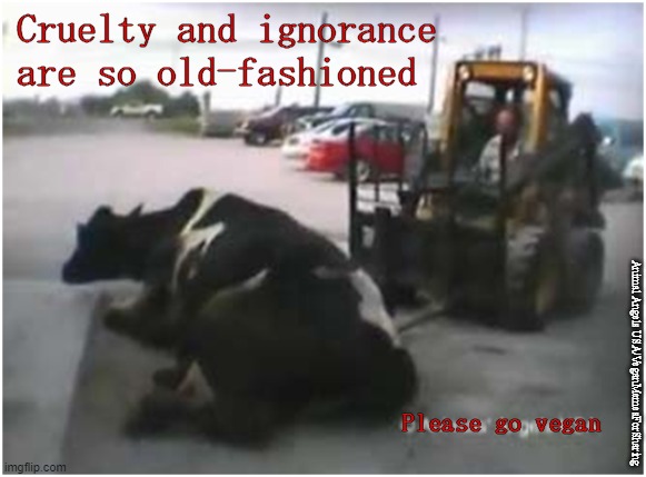 Please go vegan |  Cruelty and ignorance
are so old-fashioned; Animal Angels USA/VeganMemesForSharing; Please go vegan | image tagged in vegan,bacon,chicken,hamburger,dairy,eggs | made w/ Imgflip meme maker