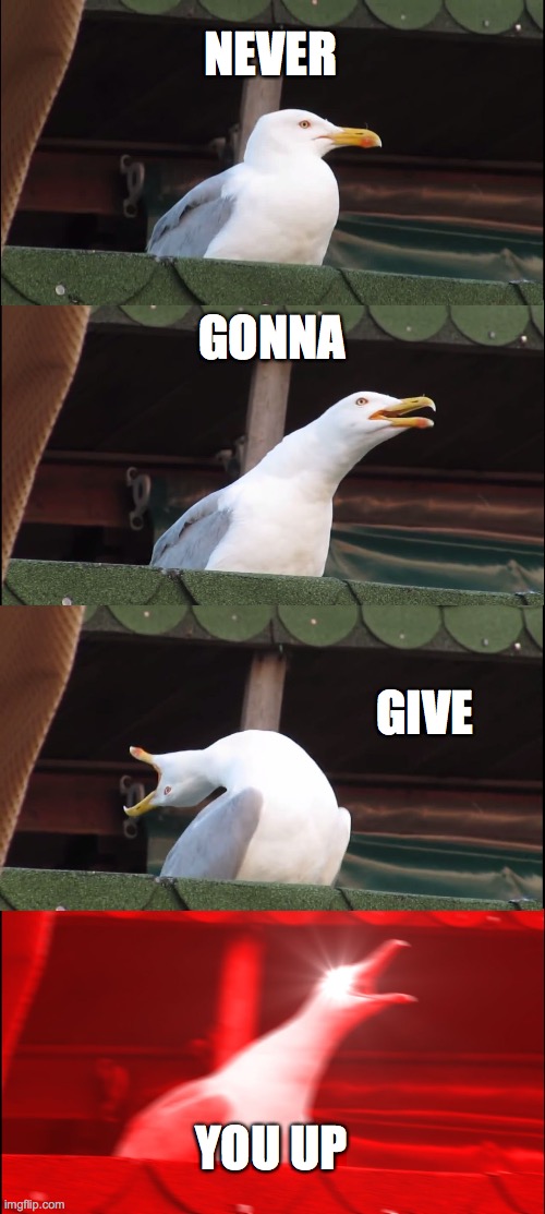 Inhaling Seagull Meme | NEVER; GONNA; GIVE; YOU UP | image tagged in memes,inhaling seagull | made w/ Imgflip meme maker