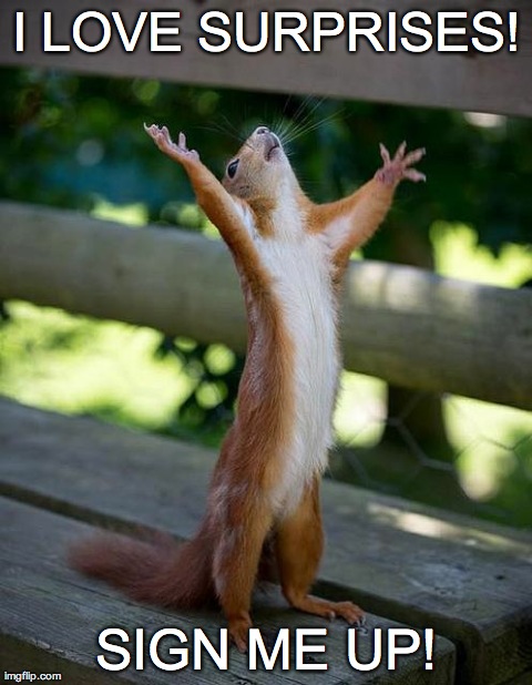 Insane Squirrel | I LOVE SURPRISES! SIGN ME UP! | image tagged in insane squirrel | made w/ Imgflip meme maker