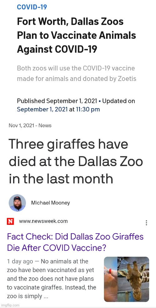 Fact check false. 3 giraffs die all the time /s | image tagged in covid-19,vaccines | made w/ Imgflip meme maker