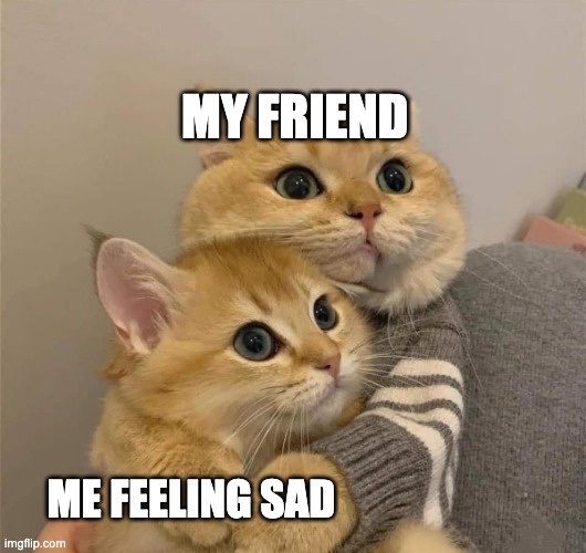 I have good friends | MY FRIEND; ME FEELING SAD | image tagged in cat hugging | made w/ Imgflip meme maker