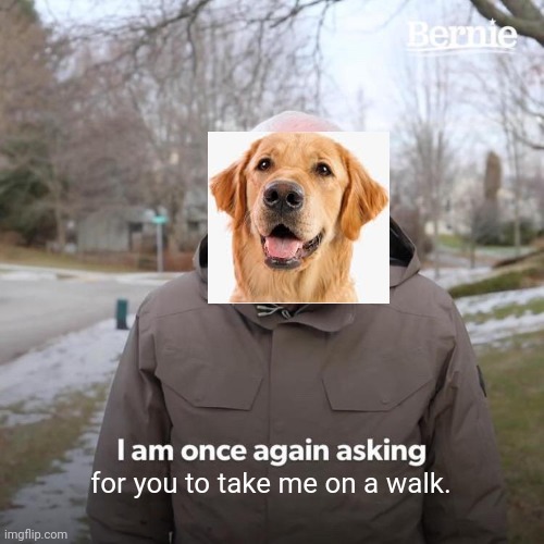 Bernie I Am Once Again Asking For Your Support | for you to take me on a walk. | image tagged in memes,bernie i am once again asking for your support | made w/ Imgflip meme maker