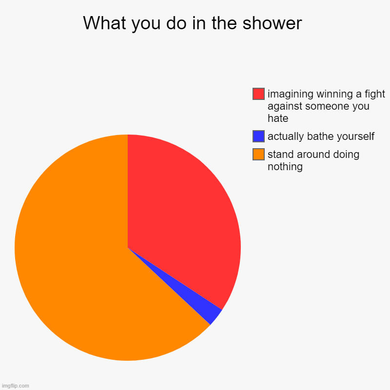 What you do in the shower | What you do in the shower | stand around doing nothing, actually bathe yourself, imagining winning a fight against someone you hate | image tagged in charts,pie charts | made w/ Imgflip chart maker