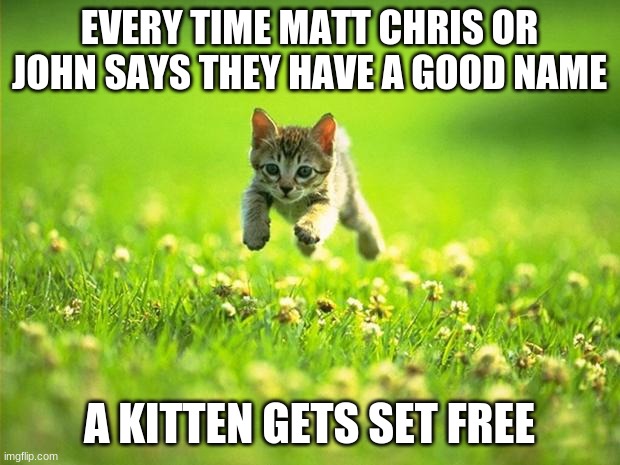 so true | EVERY TIME MATT CHRIS OR JOHN SAYS THEY HAVE A GOOD NAME; A KITTEN GETS SET FREE | image tagged in every time i smile god kills a kitten | made w/ Imgflip meme maker