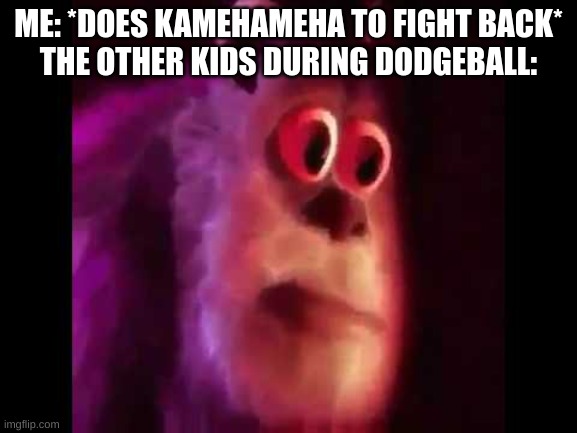 Sully Groan | ME: *DOES KAMEHAMEHA TO FIGHT BACK*
THE OTHER KIDS DURING DODGEBALL: | image tagged in sully groan | made w/ Imgflip meme maker