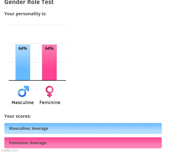 I got this and tbh i don't really know what it means...plz help! | image tagged in gender test | made w/ Imgflip meme maker