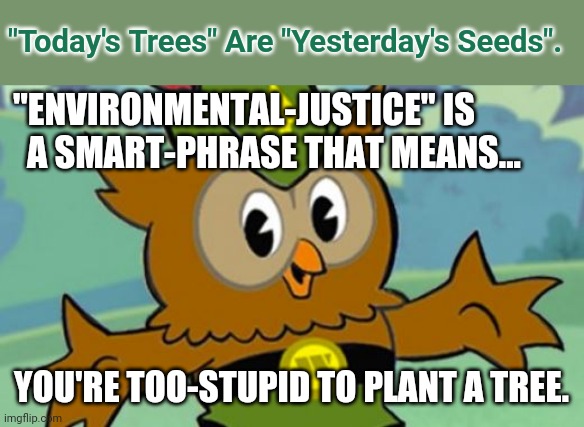 Today's Trees Are Yesterday's Seeds... | "Today's Trees" Are "Yesterday's Seeds". "ENVIRONMENTAL-JUSTICE" IS 
  A SMART-PHRASE THAT MEANS... YOU'RE TOO-STUPID TO PLANT A TREE. | image tagged in woodsy owl,sjw | made w/ Imgflip meme maker