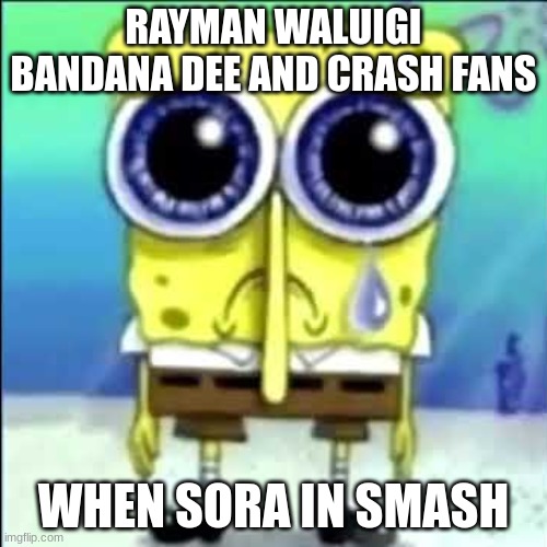 NOOOOOOOOOOOOo | RAYMAN WALUIGI BANDANA DEE AND CRASH FANS; WHEN SORA IN SMASH | image tagged in sad spongebob | made w/ Imgflip meme maker