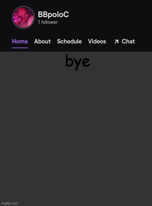 Twitch template | bye | image tagged in twitch template | made w/ Imgflip meme maker
