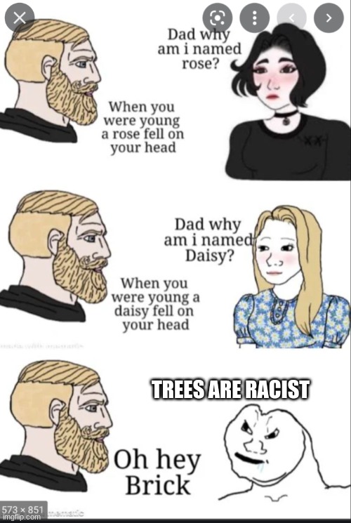 Why is my name rose? | TREES ARE RACIST | image tagged in why is my name rose | made w/ Imgflip meme maker