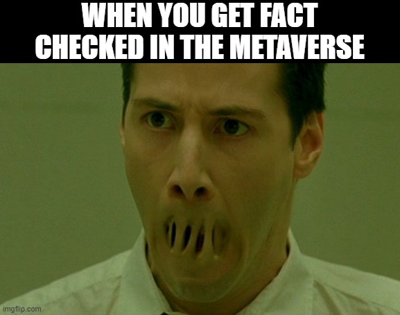 Dangerous Misinformation | WHEN YOU GET FACT CHECKED IN THE METAVERSE | image tagged in facebook,censorship,virtual reality,matrix | made w/ Imgflip meme maker