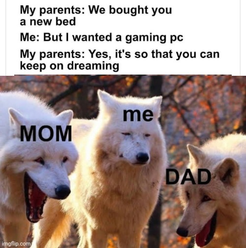 image tagged in funny memes | made w/ Imgflip meme maker