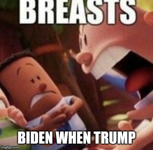 Breasts | BIDEN WHEN TRUMP | image tagged in breasts | made w/ Imgflip meme maker