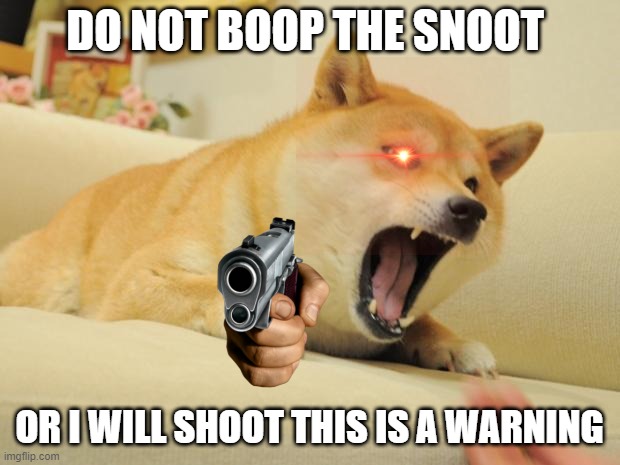 oh poop | DO NOT BOOP THE SNOOT; OR I WILL SHOOT THIS IS A WARNING | image tagged in angry doge | made w/ Imgflip meme maker