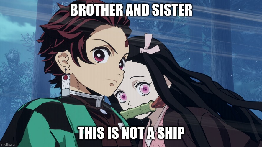 Demon Slayer | BROTHER AND SISTER; THIS IS NOT A SHIP | image tagged in demon slayer | made w/ Imgflip meme maker
