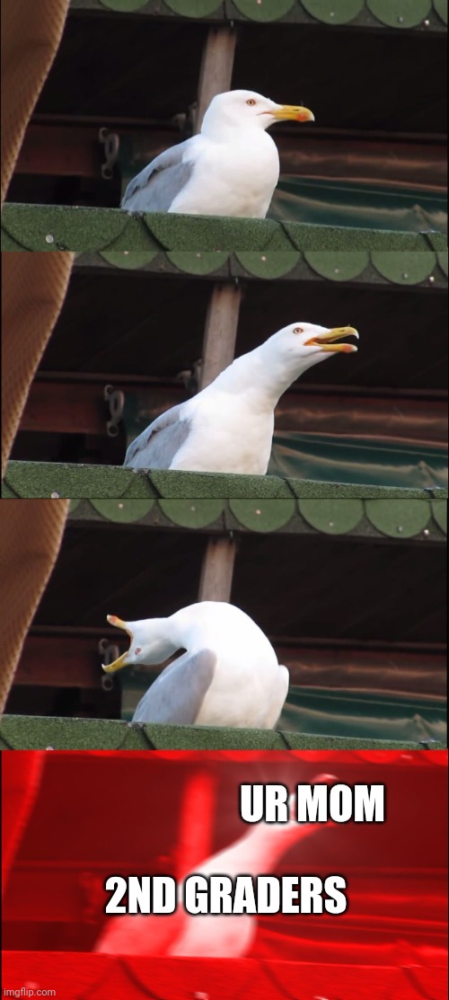 Inhaling Seagull | UR MOM; 2ND GRADERS | image tagged in memes,inhaling seagull | made w/ Imgflip meme maker