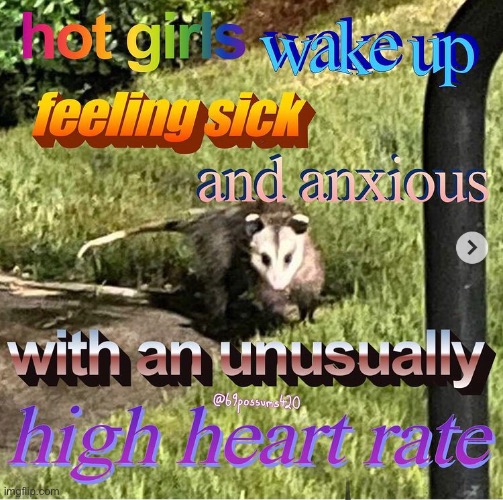 i don't have a problem i don't have a possum problem i d o n ' t | made w/ Imgflip meme maker