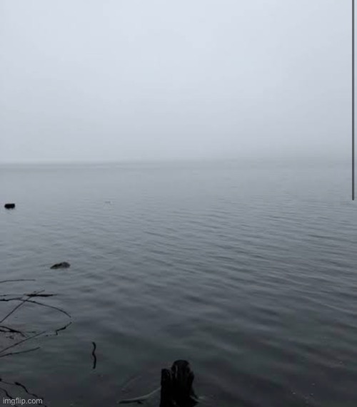 Just an image of water, nothing else | image tagged in you do not recognise the bodies in the water | made w/ Imgflip meme maker