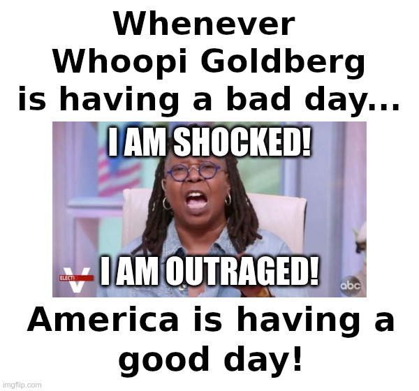 image tagged in whoopi goldberg,the view,shock,outrage,trump derangement syndrome | made w/ Imgflip meme maker