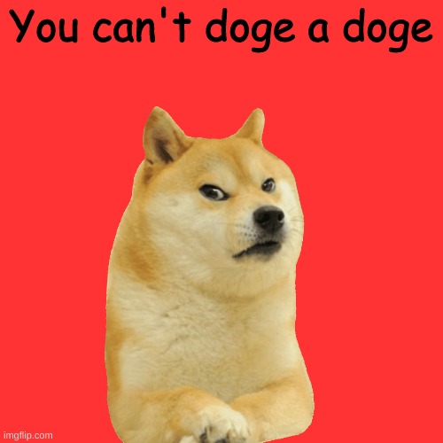 Blank Transparent Square Meme | You can't doge a doge | image tagged in memes,blank transparent square | made w/ Imgflip meme maker