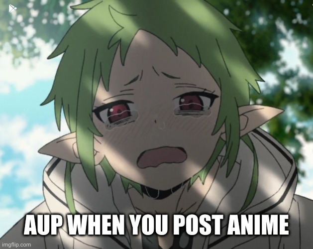 AUP WHEN YOU POST ANIME | image tagged in anime meme | made w/ Imgflip meme maker