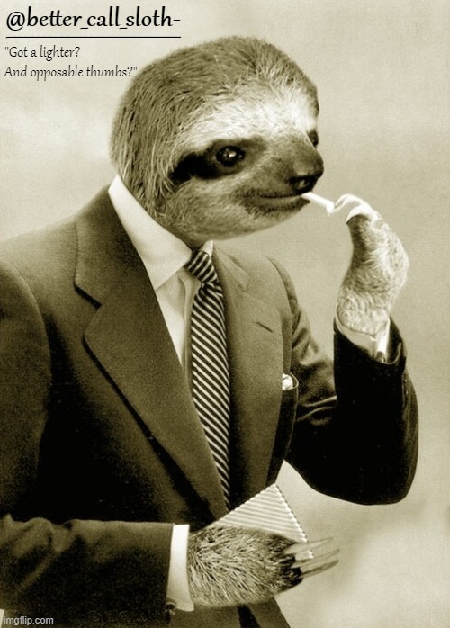 sloth announcement | image tagged in sloth announcement | made w/ Imgflip meme maker