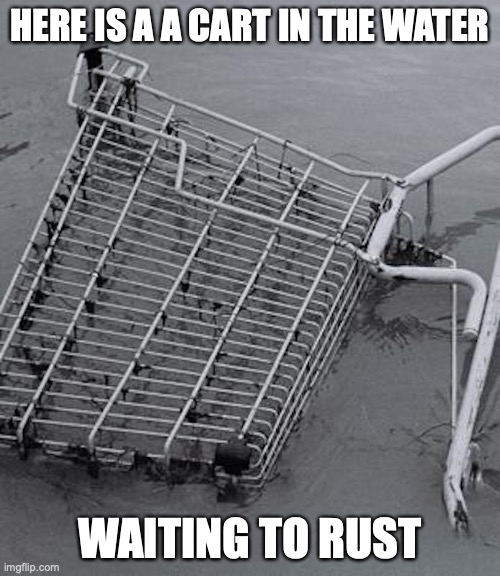 Frogger Cart | HERE IS A A CART IN THE WATER; WAITING TO RUST | image tagged in shopping cart,memes | made w/ Imgflip meme maker