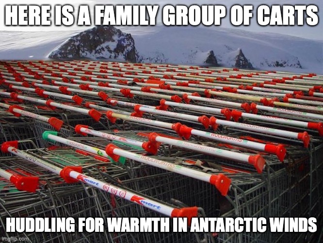 Trolleys | HERE IS A FAMILY GROUP OF CARTS; HUDDLING FOR WARMTH IN ANTARCTIC WINDS | image tagged in shopping cart,memes | made w/ Imgflip meme maker