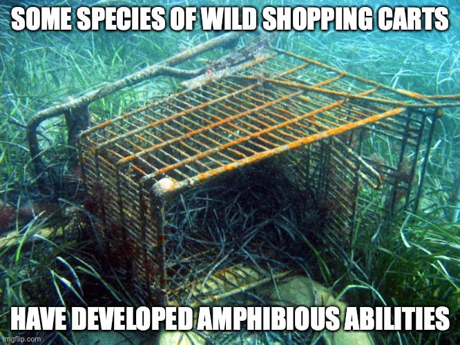 Wet Trolley | SOME SPECIES OF WILD SHOPPING CARTS; HAVE DEVELOPED AMPHIBIOUS ABILITIES | image tagged in shopping cart,memes | made w/ Imgflip meme maker