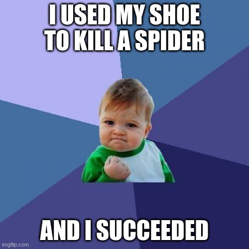 Success Kid | I USED MY SHOE TO KILL A SPIDER; AND I SUCCEEDED | image tagged in memes,success kid | made w/ Imgflip meme maker