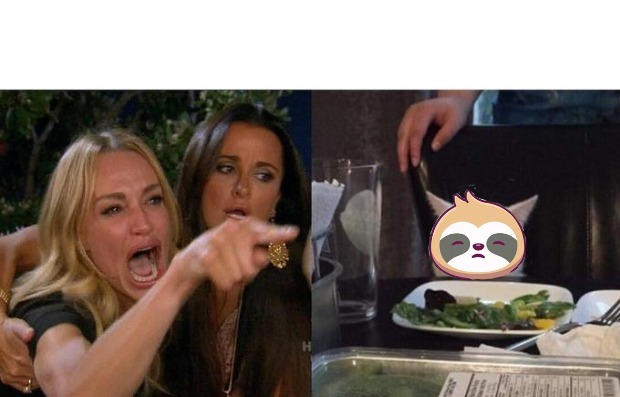 Woman yelling at sloth Blank Meme Template