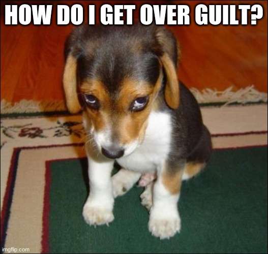 Help Me | HOW DO I GET OVER GUILT? | image tagged in guilty puppy | made w/ Imgflip meme maker