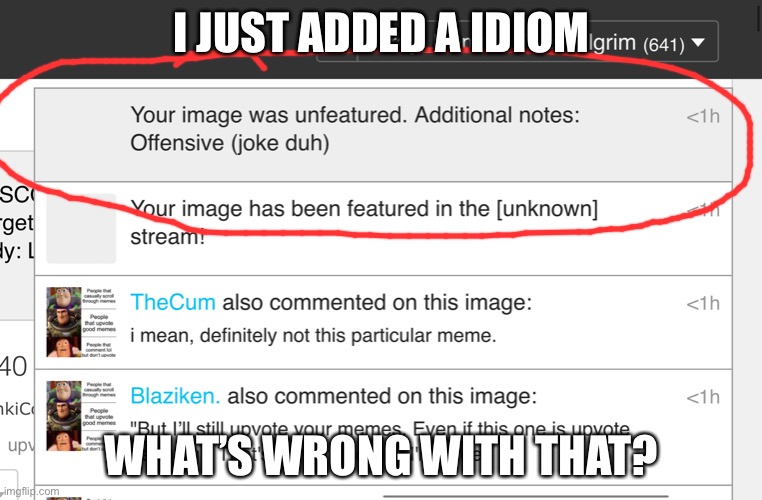 I JUST ADDED A IDIOM; WHAT’S WRONG WITH THAT? | made w/ Imgflip meme maker