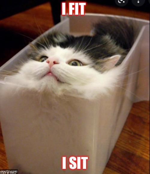 I FIT; I SIT | made w/ Imgflip meme maker