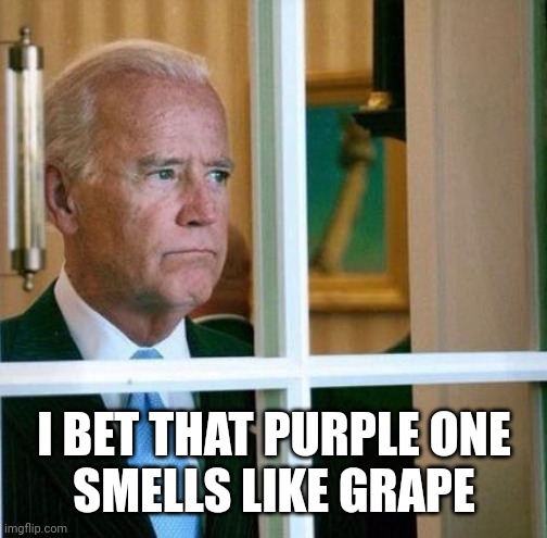 Sad Joe Biden | I BET THAT PURPLE ONE
SMELLS LIKE GRAPE | image tagged in sad joe biden | made w/ Imgflip meme maker