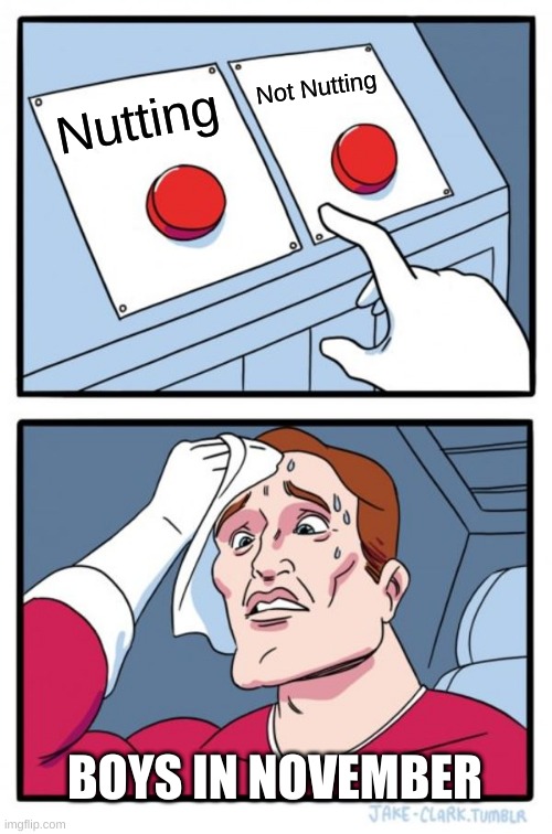 Two Buttons Meme | Not Nutting; Nutting; BOYS IN NOVEMBER | image tagged in memes,two buttons | made w/ Imgflip meme maker