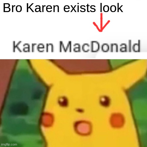 BRO WTF IT"S REAL | Bro Karen exists look | image tagged in memes,surprised pikachu | made w/ Imgflip meme maker