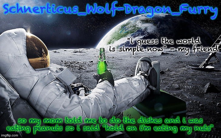 new temp for Schnerticus | so my mom told me to do the dishes and i was eating peanuts so i said "hold on i'm eating my nuts" | image tagged in new temp for schnerticus | made w/ Imgflip meme maker