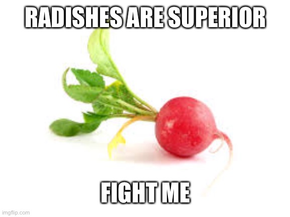 They taste great | RADISHES ARE SUPERIOR; FIGHT ME | image tagged in radish | made w/ Imgflip meme maker