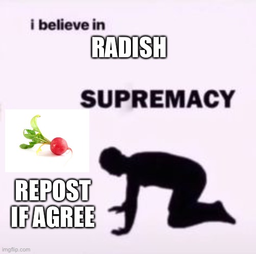 I believe in supremacy | RADISH; REPOST IF AGREE | image tagged in i believe in supremacy | made w/ Imgflip meme maker