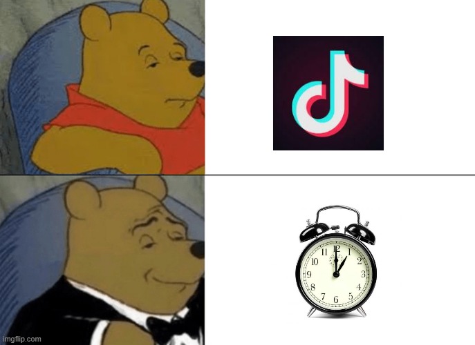 Tuxedo Winnie The Pooh | image tagged in memes,tuxedo winnie the pooh | made w/ Imgflip meme maker