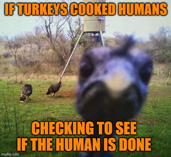 Preheat The Oven To 350 Degrees | IF TURKEYS COOKED HUMANS; CHECKING TO SEE IF THE HUMAN IS DONE | image tagged in jiveass turkey,memes,funny,funny memes,thanksgiving,turkey | made w/ Imgflip meme maker