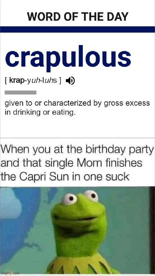 Crapulous | image tagged in kermit the frog,vocabulary,suck,single mom,party time,funny meme | made w/ Imgflip meme maker